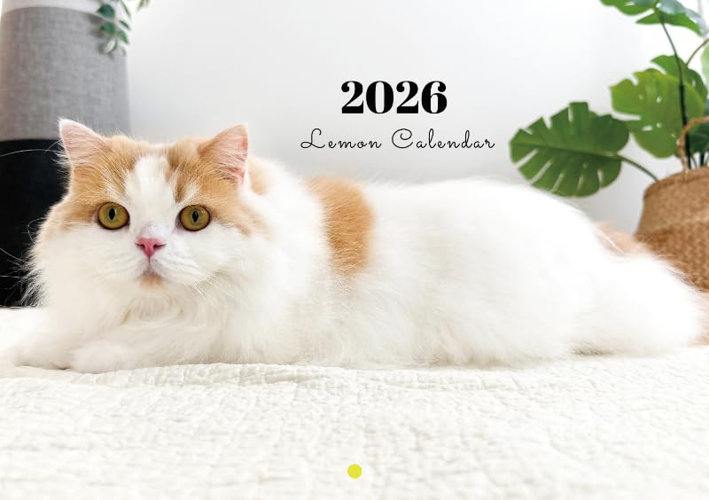 Amazon | 【予約販売】 レモン 猫 猫のレモンと犬のポテチちゃんねる
